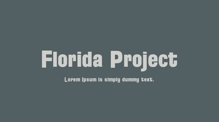 Florida Project Font Family