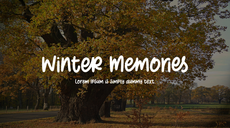 Winter Memories Font