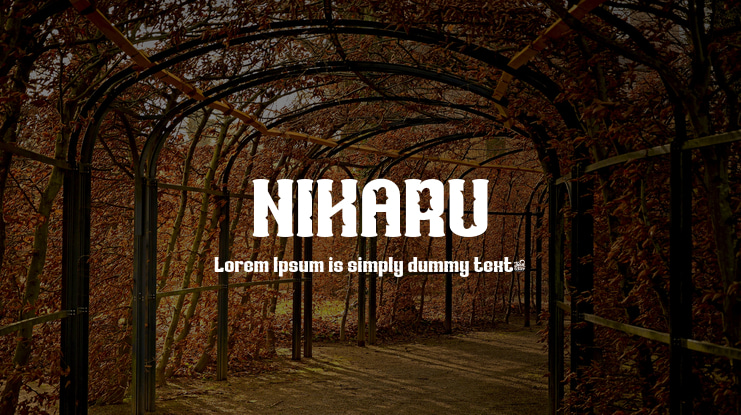 NIKARU Font