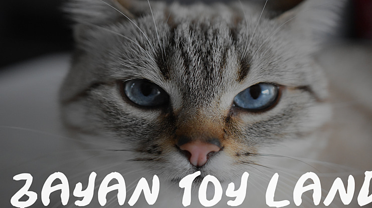 Zayan Toy Land Font