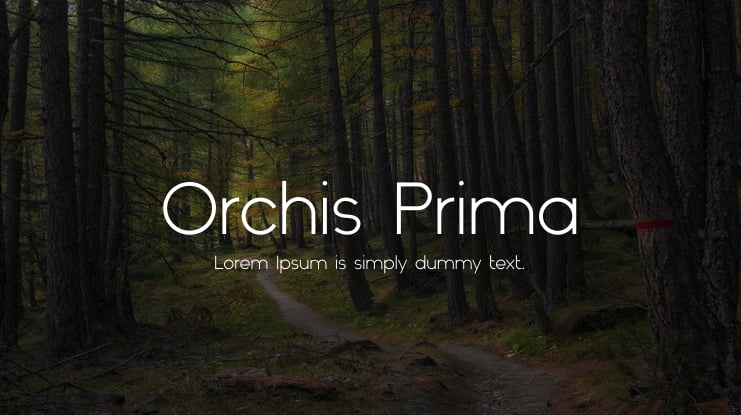 Orchis Prima Font Family