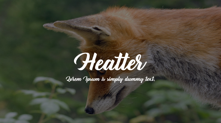 Heatter Font
