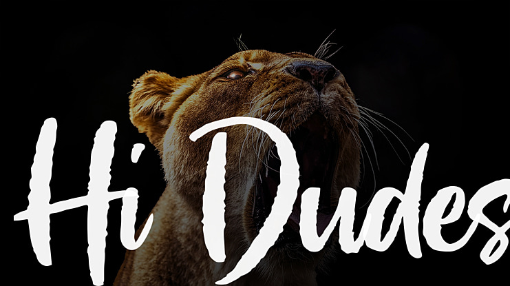 Hi Dudes Font