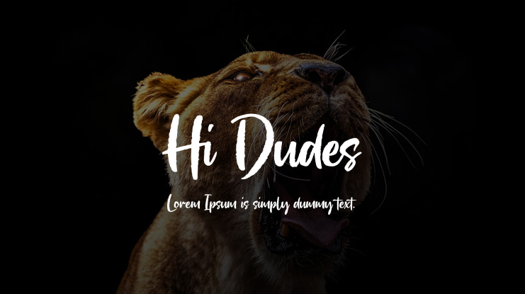 Hi Dudes Font
