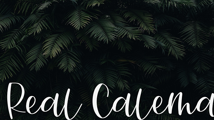 Real Calema Font