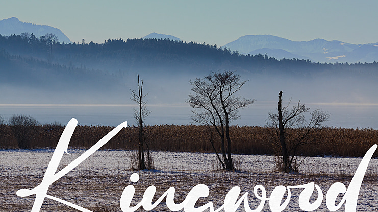 Kingwood Font