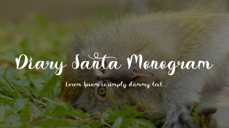 Diary Santa Monogram Font Family