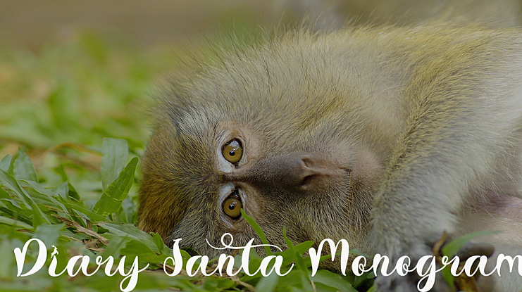 Diary Santa Monogram Font Family