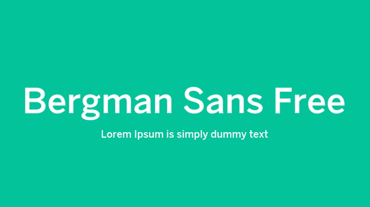 Bergman Sans Free Font