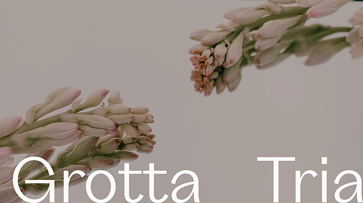 Grotta-Trial Font Family