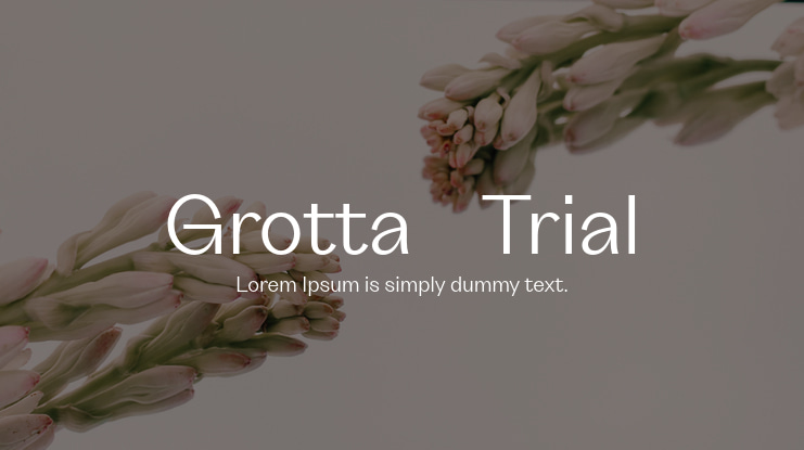 Grotta-Trial Font Family