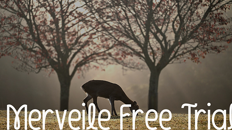 Merveile Free Trial Font