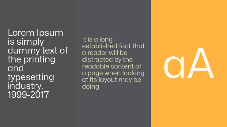 Mona-Sans Font Family