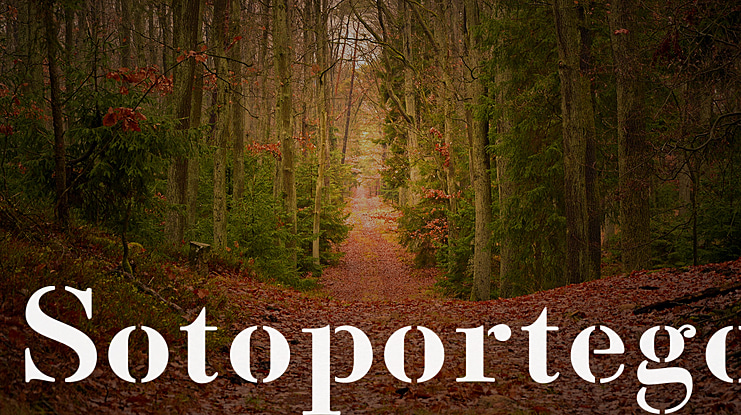 Sotoportego Font