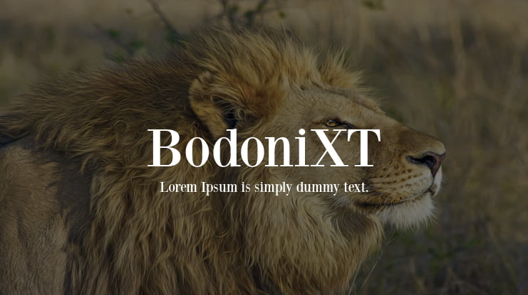 BodoniXT Font