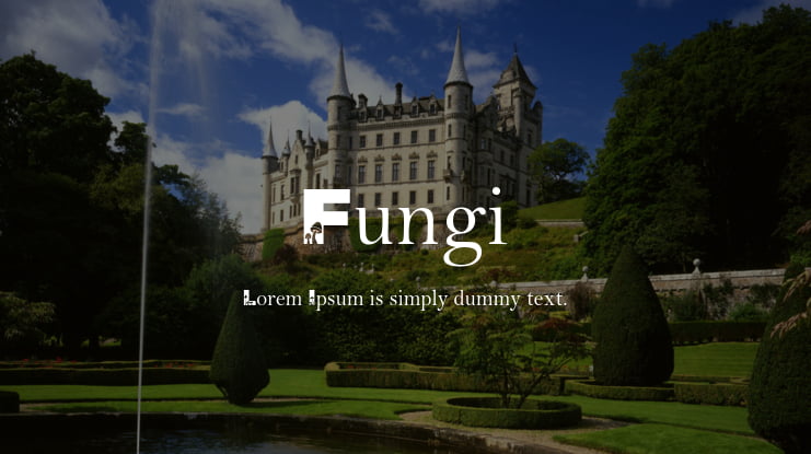 Fungi Font