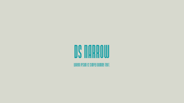 DS Narrow Font
