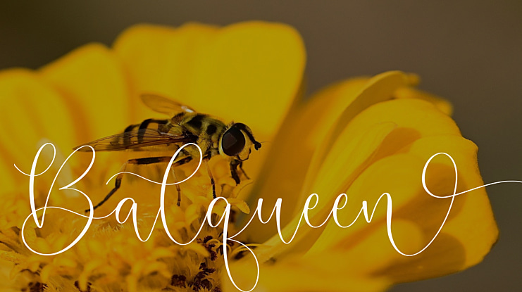 Balqueen Font