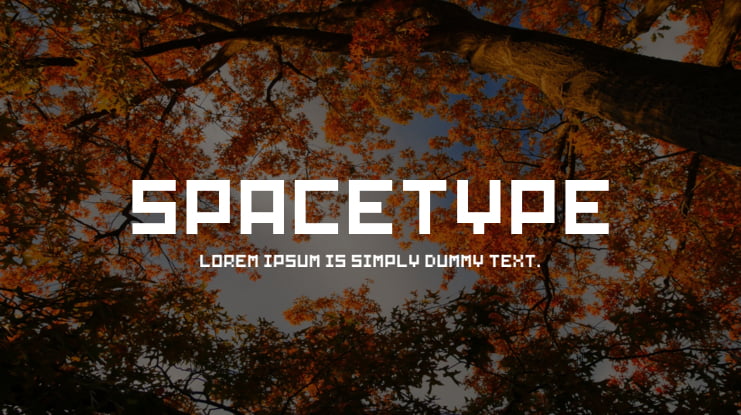 SpaceType Font Family