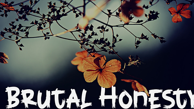 Brutal Honesty Font