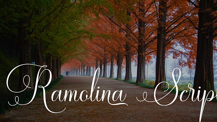 Ramolina Script Font
