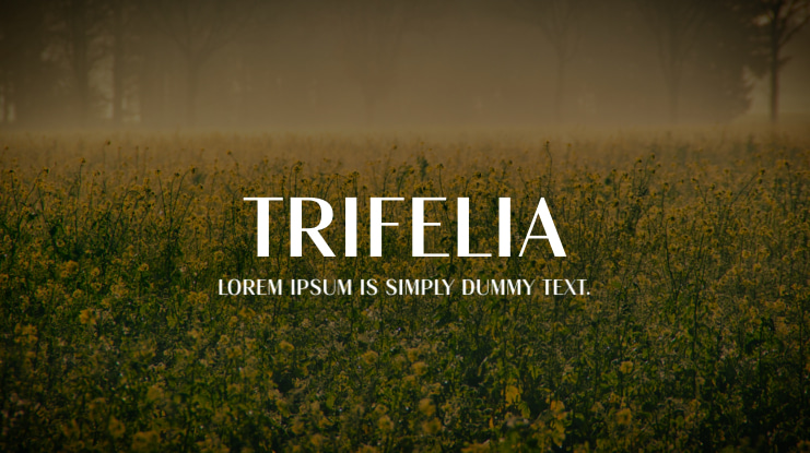 Trifelia Font