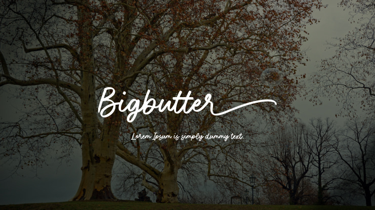 Bigbutter Font
