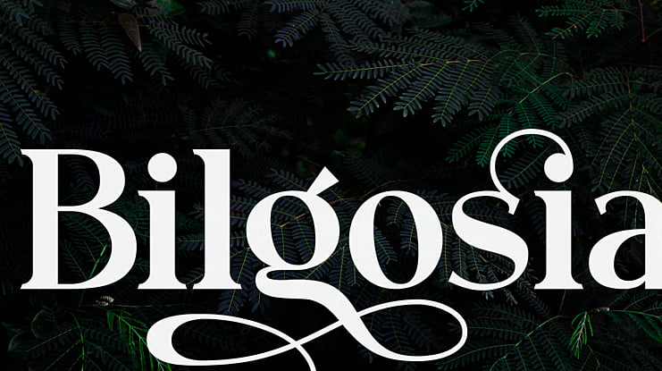 Bilgosia Font