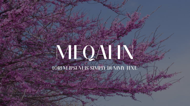 Meqalin Font