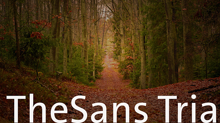 TheSans Trial Font Family