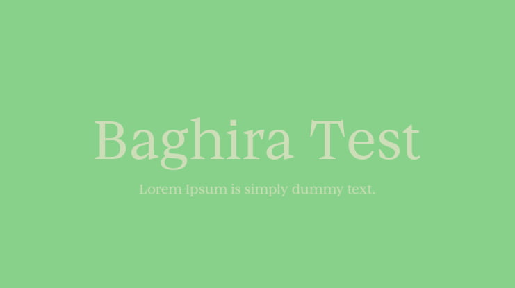 Baghira Test Font Family
