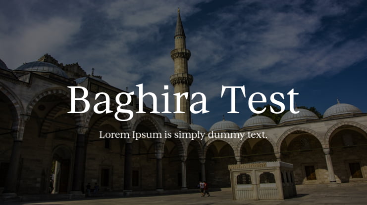 Baghira Test Font Family