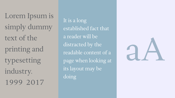 Allrounder Antiqua Test Font Family