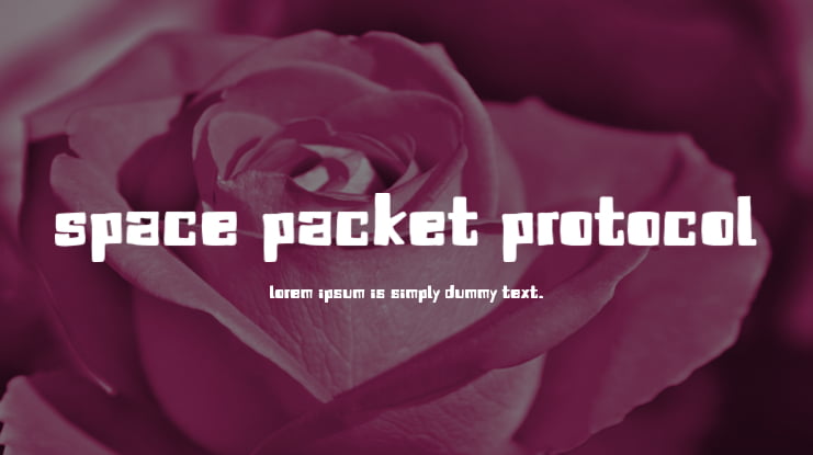 Space Packet Protocol Font