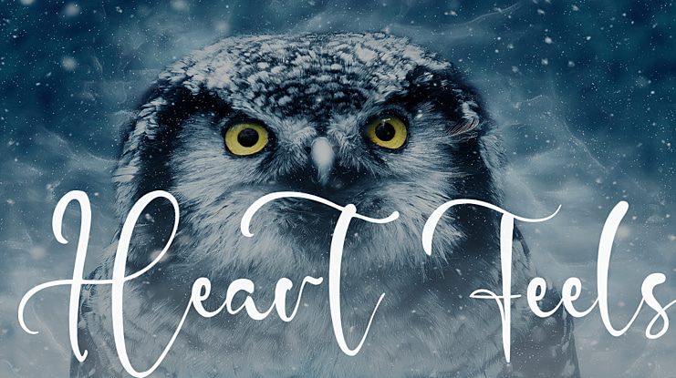 Heart Feels Font