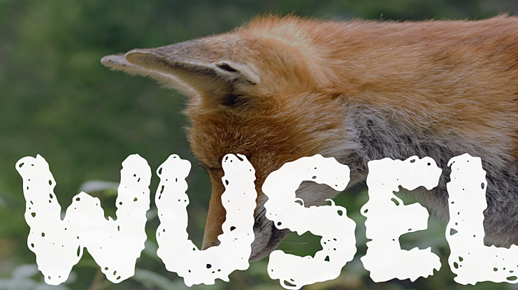 Wusel Font
