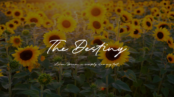 The Destiny Font