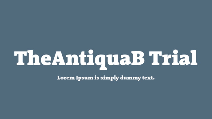 TheAntiquaB Trial Font Family