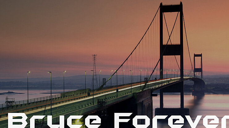 Bruce Forever Font