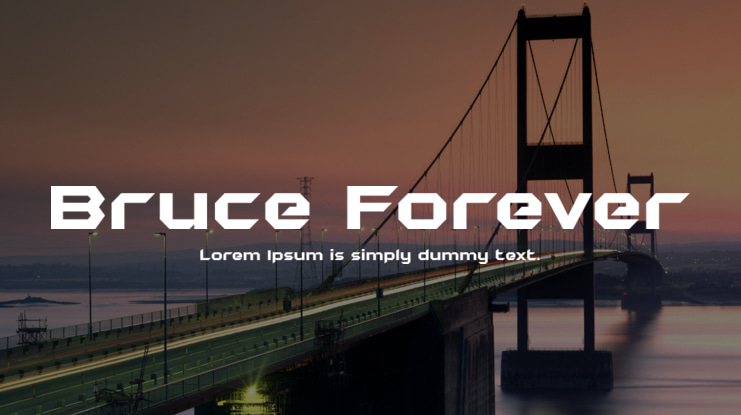 Bruce Forever Font