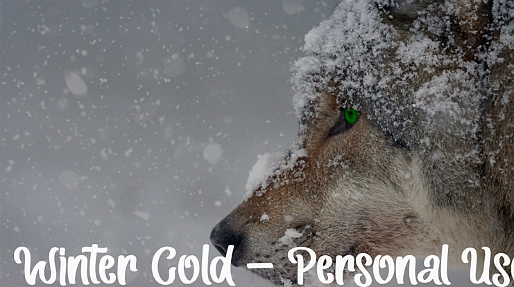 Winter Cold - Personal Use Font