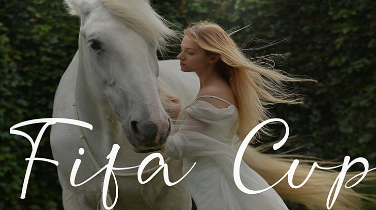 Fifa Cup Font Family