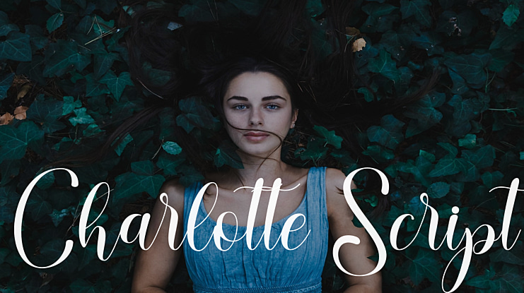 Charlotte Script Font