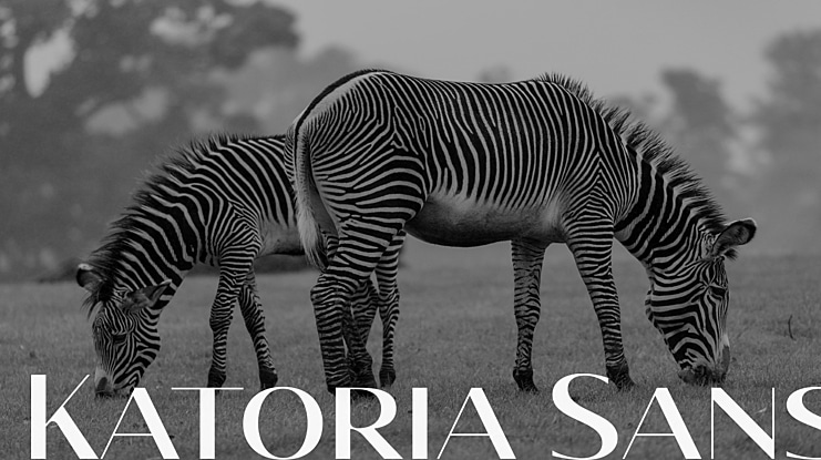 Katoria Sans Font Family