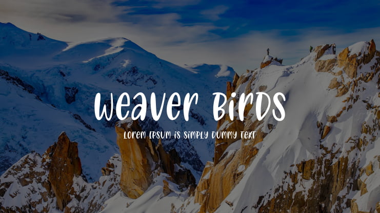 weaver birds Font
