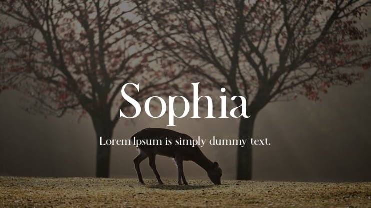 Sophia Font Family