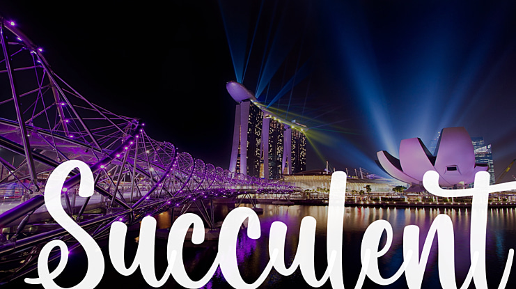 Succulent Font