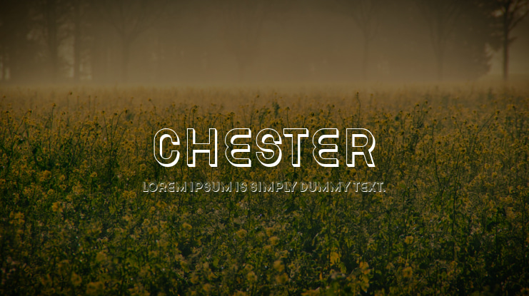 Chester Font