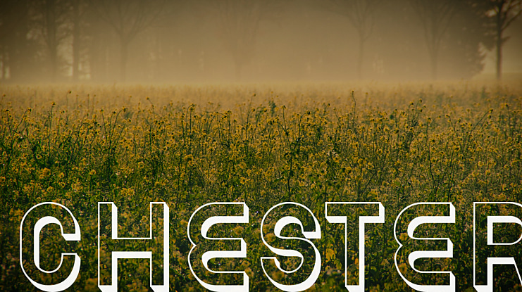 Chester Font