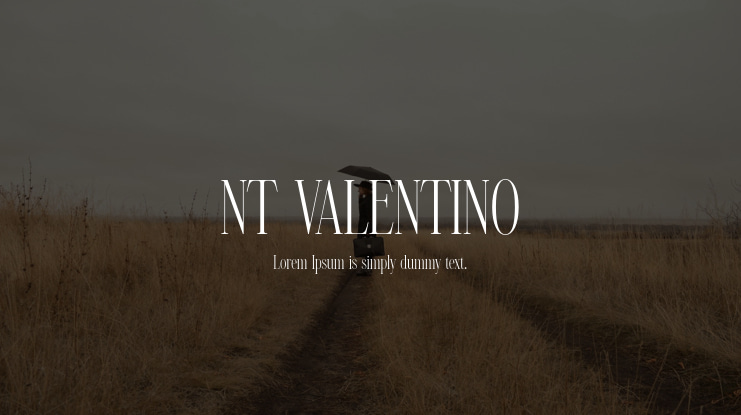 NT VALENTINO Font Family